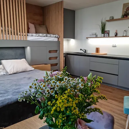 Minimax Apartman Destne v Orlickych horach Exterior photo